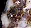 Pietersite Carved Big Dipper ladybug, Gemstone, Chatoyant
