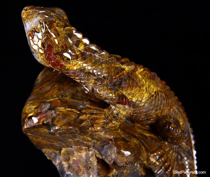 Pietersite Crystal Lizard