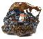 Pietersite Rough Gemstone, Chatoyant