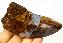 Pietersite Rough Gemstone, Chatoyant