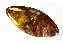 Pietersite Cabochon/CAB, Gemstone, Chatoyant