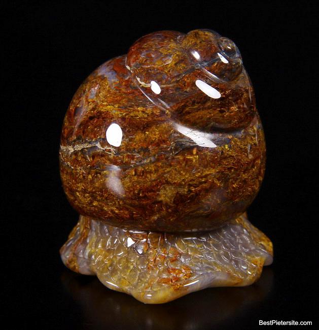 Pietersite Crystal Snail