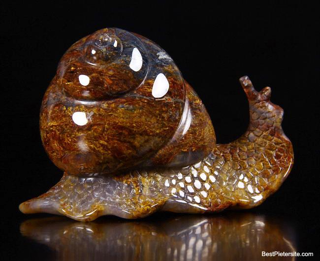 Pietersite Crystal Snail