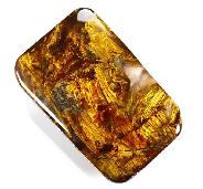 Pietersite Crystal Cabochon/CAB, Gemstone, Chatoyant