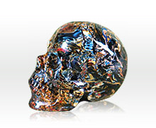 Pietersite Skulls